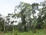 49319CIMG5656.JPG