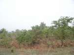 3883RIMG0187.JPG