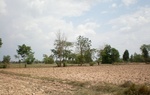 43688pic2.jpg