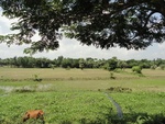 24619DSC00838.JPG