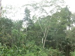 48179CIMG4516.JPG