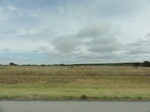 35870DSC02638.JPG