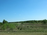 29067CIMG0766.JPG