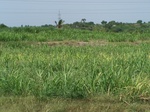 1768422042008(64).JPG