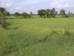 33416RIMG0156.JPG