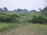 869R0015394_small.jpg
