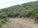 55707CIMG2483.JPG