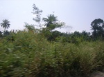 8943RIMG0017.JPG