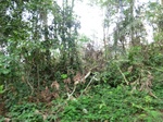 46582CIMG0871.JPG