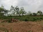 50661CIMG1290.JPG