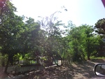 31391CIMG1254.JPG