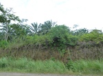 20309P1020165.JPG