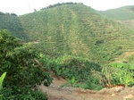53495CIMG6832.JPG