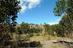 28709P1010726-1.JPG