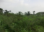 51041CIMG4482.JPG