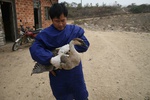 4736IMG_8654.JPG
