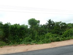 18308P1000144.JPG