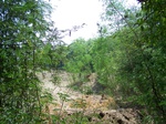 1775824042008(19).JPG