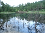 32352p84_s.jpg