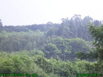 4442007-08-05_08-26-35_tag.jpg
