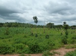 18479P1000315.JPG