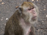 15800IMG_4890.JPG