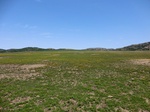 30072CIMG0189.JPG