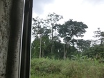 49653CIMG5990.JPG