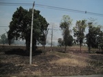 28127IMG_4944.JPG