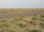 36679CIMG0448.JPG