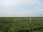 14327IMG_4668.JPG
