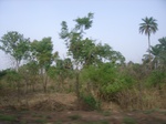3793RIMG0097.JPG
