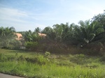 33683IMG_5896.JPG