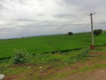 55888CIMG6584.JPG