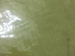 58304CIMG2752.JPG