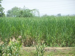 1763722042008(17).JPG