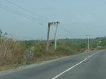 51572P1000751.JPG