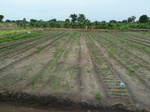 18741P1000579.JPG