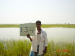11347gt134-wetland-cropland-1.jpg
