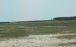 2024-08-05_14-55-48_7300D307-2D20-40D1-984F-A9EAAEC28481_1_201_a.jpeg
