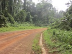 47511CIMG3848.JPG