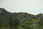 2024-08-05_16-28-15_977AE5A2-373E-4C6F-90D2-8B5CC3307BD1.jpeg
