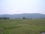 28200RIMG0189.JPG