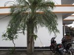 14147IMG_4482.JPG
