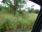 20240P1020095.JPG
