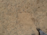 19084P1000929.JPG