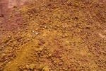 28614P1010631-1.JPG