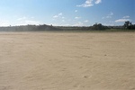 43643pic4.jpg