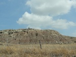 35443DSC02955.JPG