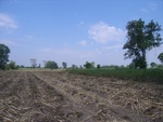 28072RIMG0127.JPG